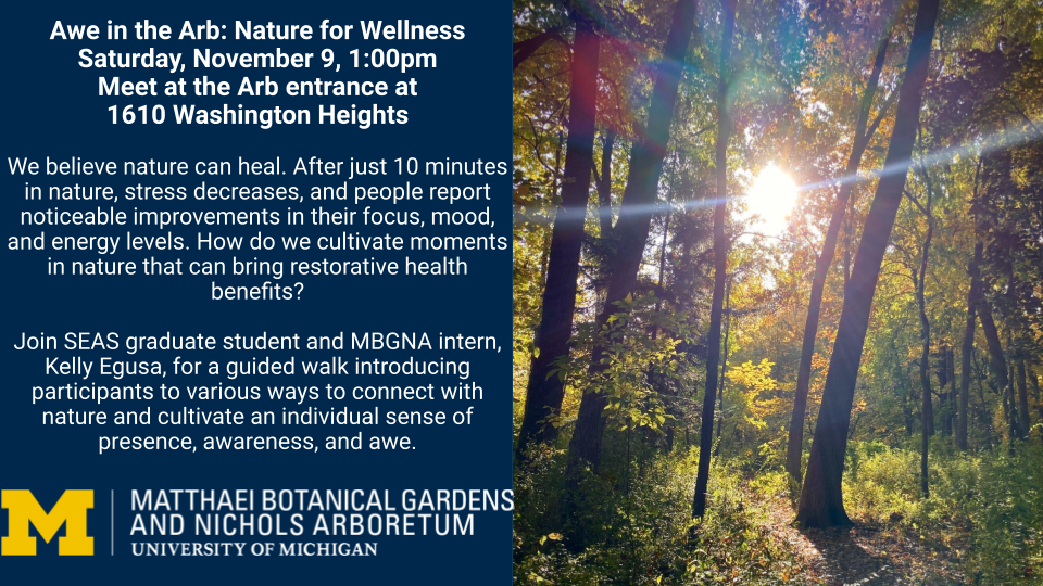 Event Flyer for Awe in the Arb: Nature for Wellness